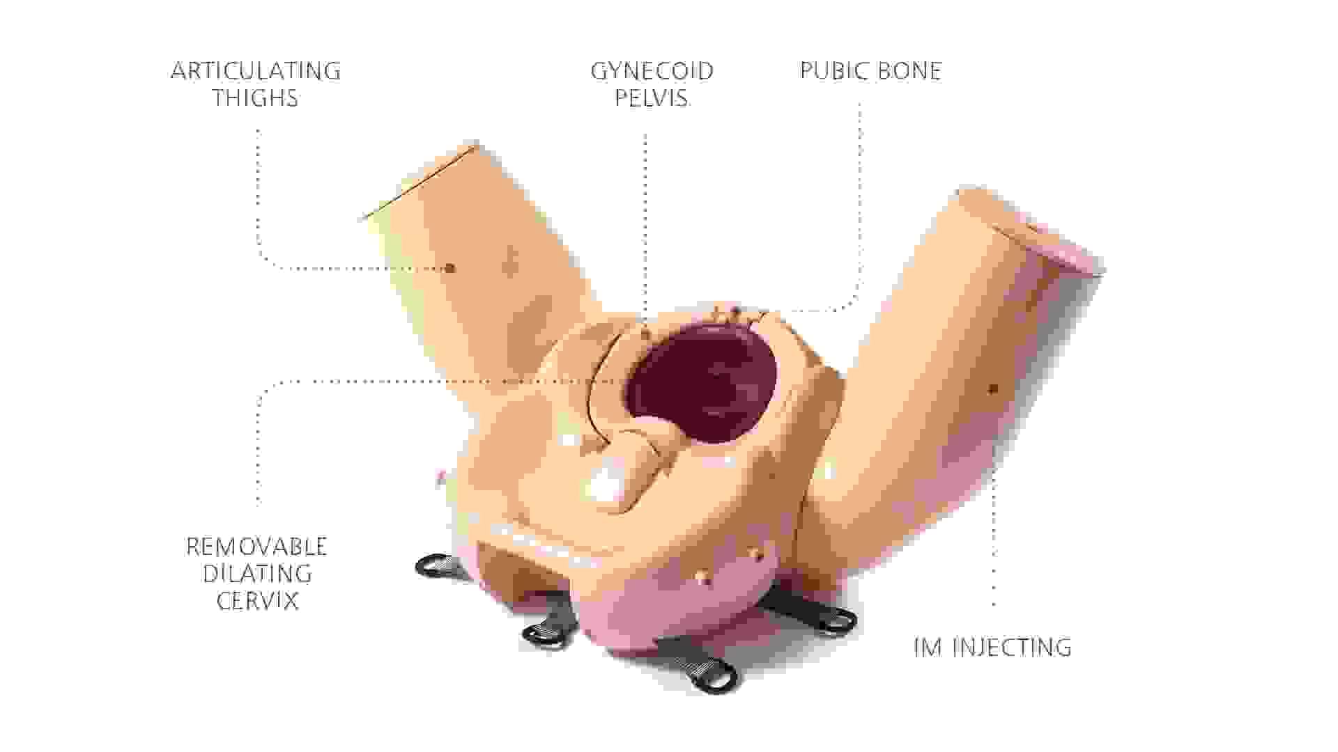 Birthing Simulator PROMPT Flex Standard version in light skin tone diagram