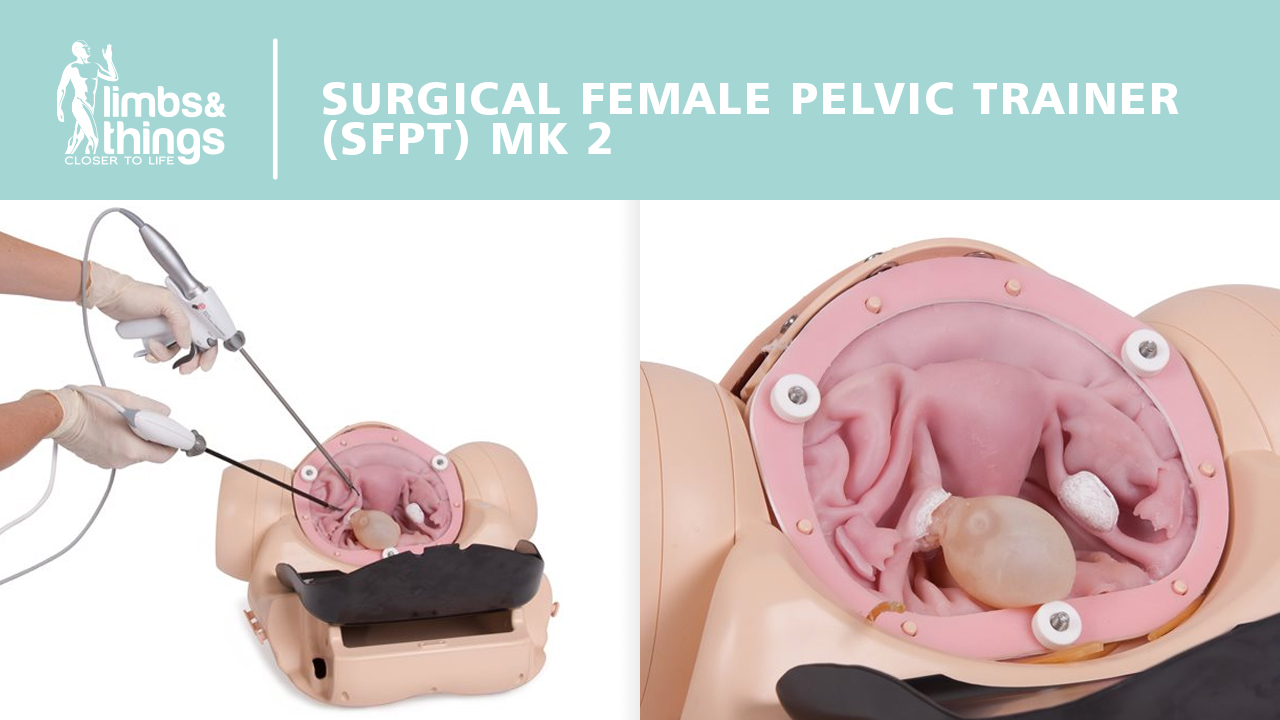 Surgical Female Pelvic Trainer - UK